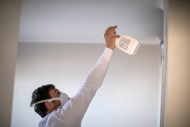 Best Insurance-Related Mold Remediation in New Buffalo, MI