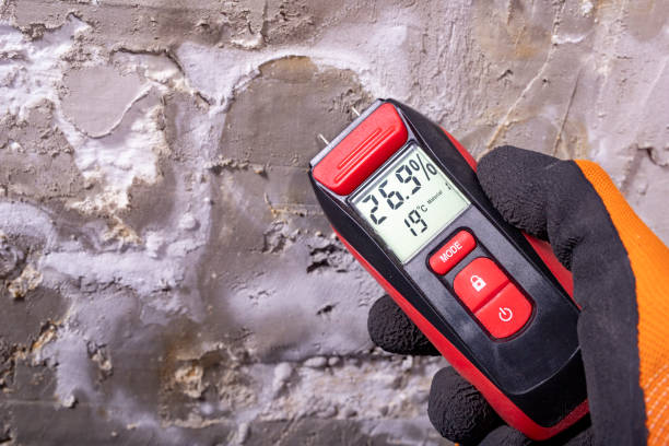 Best Industrial Mold Remediation in New Buffalo, MI